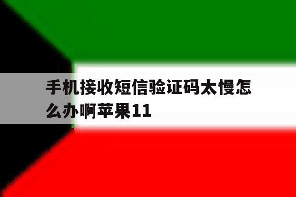 手机接收短信验证码太慢怎么办啊苹果11的简单介绍 手机接收短信验证码太慢怎么办啊苹果11的简单介绍