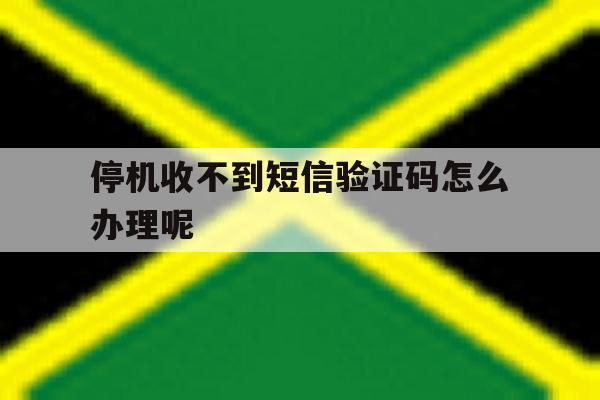 停机收不到短信验证码怎么办理呢 停机收不到短信验证码怎么办理呢