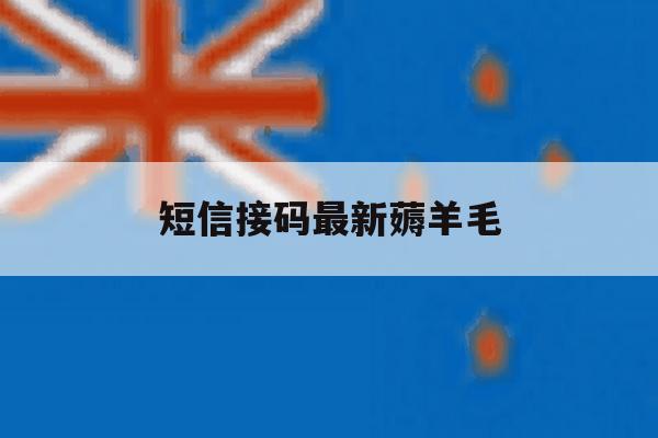 短信接码最新薅羊毛 短信接码最新薅羊毛