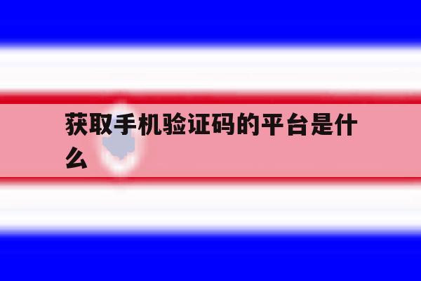 获取手机验证码的平台是什么 获取手机验证码的平台是什么