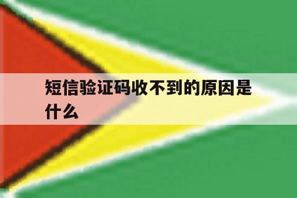 短信验证码收不到的原因是什么 短信验证码收不到的原因是什么