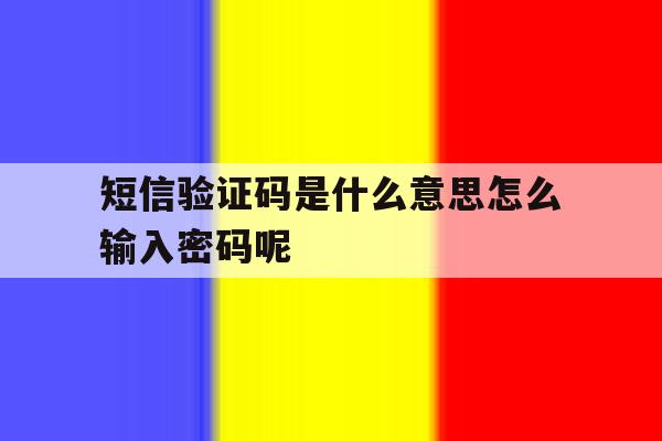 短信验证码是什么意思怎么输入密码呢 短信验证码是什么意思怎么输入密码呢