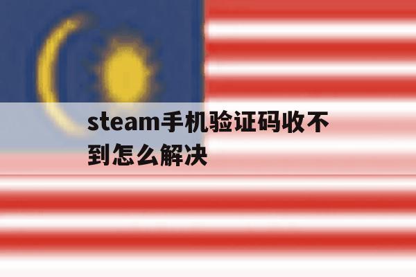 steam手机验证码收不到怎么解决 steam手机验证码收不到怎么解决