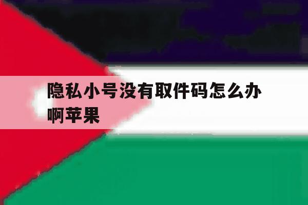 隐私小号没有取件码怎么办啊苹果 隐私小号没有取件码怎么办啊苹果