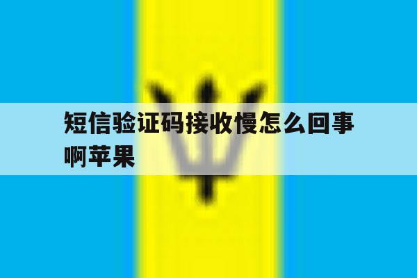 短信验证码接收慢怎么回事啊苹果 短信验证码接收慢怎么回事啊苹果